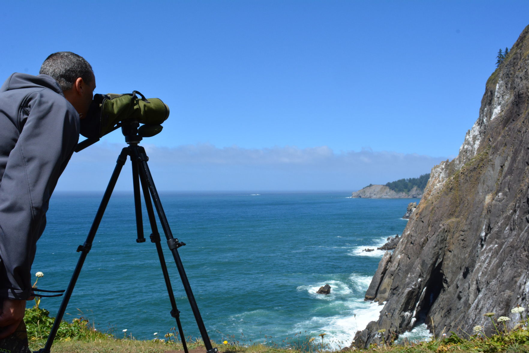 Bird Monitoring Training held at Cannon Beach City Hall June 8_submitted photo.JPG